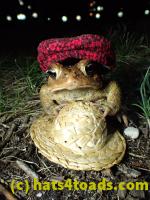 /home//u458753944/public_html/sourcegallery//Roxborough Toad Detour/2013-2019/2017/P4030709.JPG